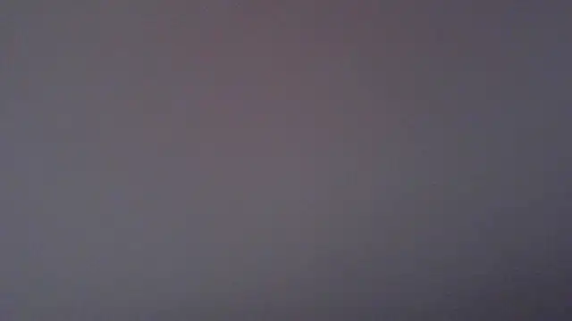 paytonkelly online show from April 6, 1:12 pm