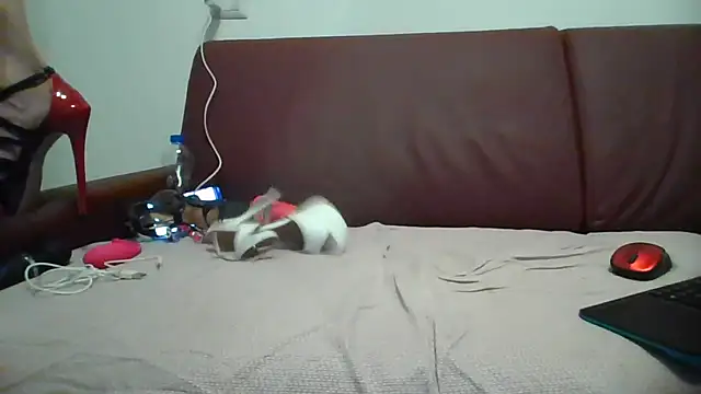 Snapshot of Danielasexy74 chatting on November 14, 4:38 pm Danielasexy74 online show from November 14, 4:38 pm