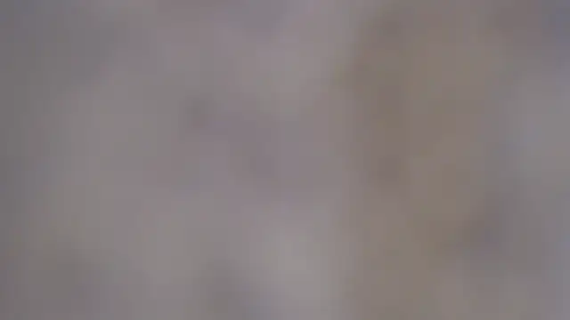 paiper halliwey online show from February 8, 12:50 pm