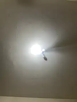 Snapshot of luismanuel_1998 chatting on August 6, 11:50 pm luismanuel 1998 online show from August 6, 11:50 pm