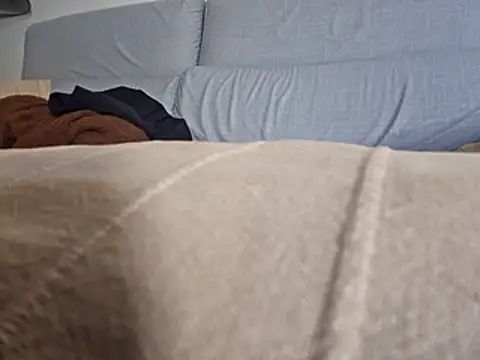 PeDrO2024 25 online show from February 26, 11:53 am