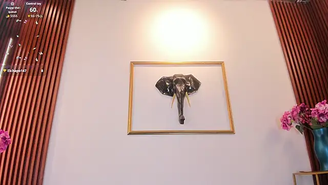 Zayda 1 online show from February 11, 8:14 pm