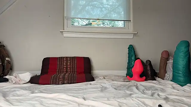 Theonlydreamybull online show from December 3, 4:49 pm