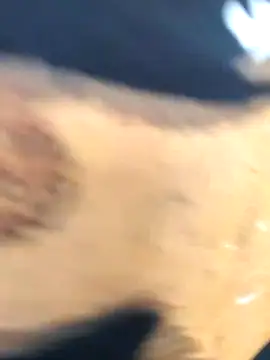 martinna tay online show from March 1, 3:19 am