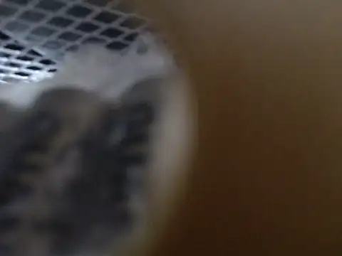 Lovensetest online show from October 31, 9:10 am