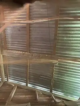 phola12 online show from February 27, 7:47 pm