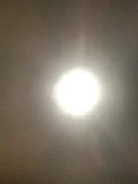 valleyoneofakind online show from October 20, 3:34 pm