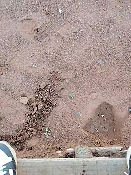 TornadoStorm35 online show from March 30, 1:56 pm