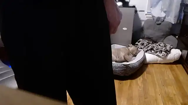 Snapshot of flexingplexico chatting on February 16, 10:50 pm flexingplexico online show from February 16, 10:50 pm