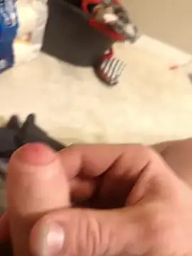 Snapshot of Bolo23693 chatting on February 8, 1:11 pm Bolo23693 online show from February 8, 1:11 pm