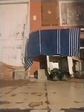 Snapshot of brownfeet chatting on January 18, 4:59 am brownfeet online show from January 18, 4:59 am