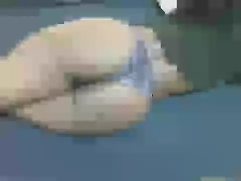 lella-0 online show from October 16, 9:38 pm