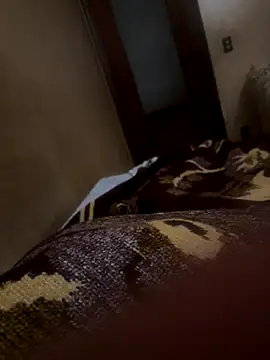 Snapshot of bigboy30X chatting on October 21, 2:51 pm bigboy30X online show from October 21, 2:51 pm