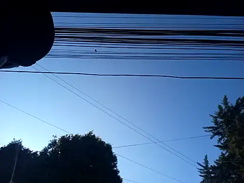 weedmanhot28 online show from January 30, 12:48 pm