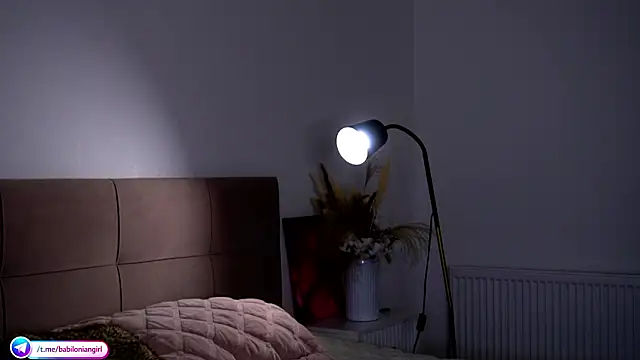 Snapshot of babilonian chatting on March 17, 4:43 pm babilonian online show from March 17, 4:43 pm