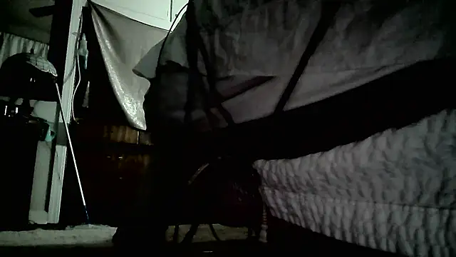 paiday online show from December 25, 4:43 pm