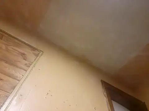 Snapshot of BigDDave6979 chatting on March 14, 5:48 am BigDDave6979 online show from March 14, 5:48 am