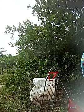 natally ross21 online show from March 20, 1:16 pm