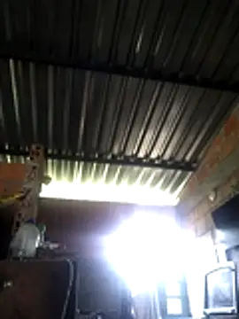 natally ross21 online show from April 17, 11:57 am