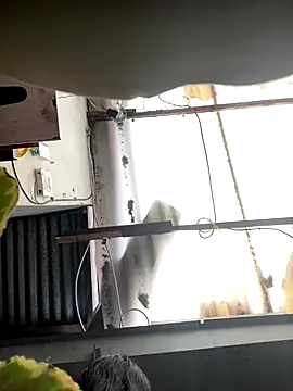 Snapshot of luna_asss chatting on October 25, 7:30 pm luna asss online show from October 25, 7:30 pm