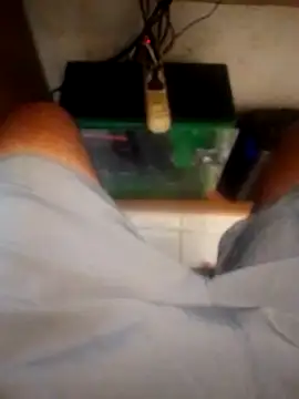 betinhodelas online show from October 18, 5:14 pm