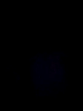 StaciGoodman online show from December 29, 3:11 am