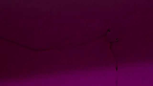 Scarlett 811 online show from July 22, 7:49 pm