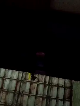 dantaradinho online show from January 31, 4:47 am