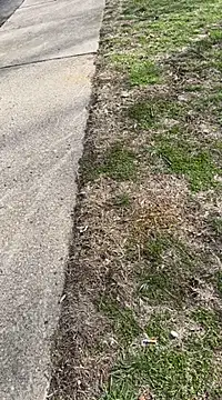 Esauhot online show from February 25, 7:03 pm