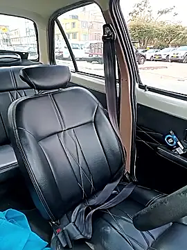 mosmar 20 online show from February 14, 8:49 pm