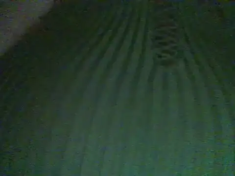 Snapshot of RoxiRedXXX chatting on March 1, 2:37 am RoxiRedXXX online show from March 1, 2:37 am