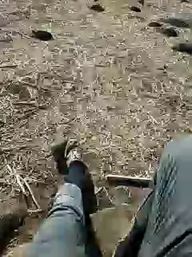 Snapshot of murokkk31 chatting on December 3, 8:38 am murokkk31 online show from December 3, 8:38 am