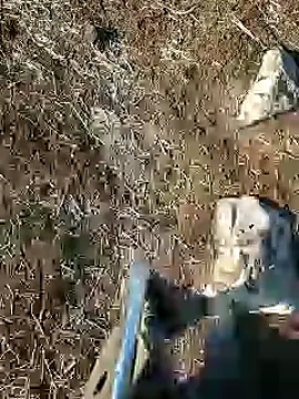 Snapshot of murokkk31 chatting on January 15, 8:09 am murokkk31 online show from January 15, 8:09 am