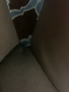 WyvaxxNikkie online show from January 23, 5:31 pm