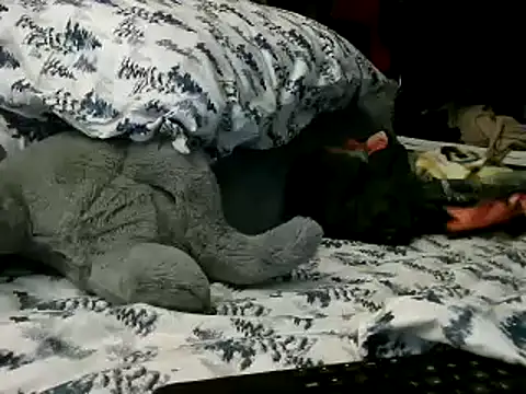 Snapshot of WHITEDAROSE chatting on January 15, 2:13 pm WHITEDAROSE online show from January 15, 2:13 pm