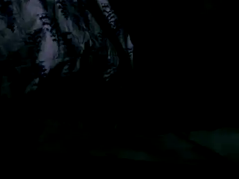 Snapshot of WHITEDAROSE chatting on February 19, 10:01 am WHITEDAROSE online show from February 19, 10:01 am