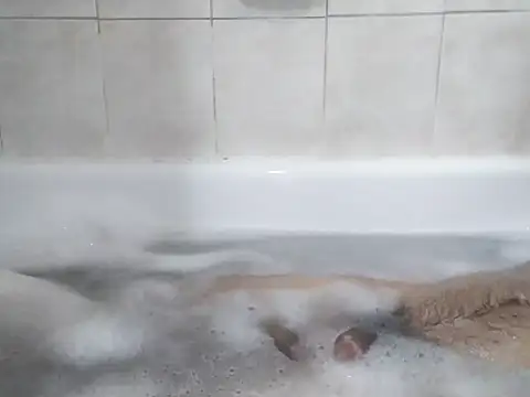 Snapshot of 69LanceRomance69 chatting on February 27, 9:20 am 69LanceRomance69 online show from February 27, 9:20 am