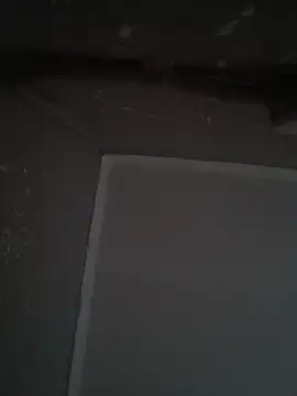 wlammi ptr online show from December 19, 10:22 am