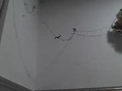 Snapshot of pedrodavid_ chatting on December 8, 12:18 am pedrodavid  online show from December 8, 12:18 am