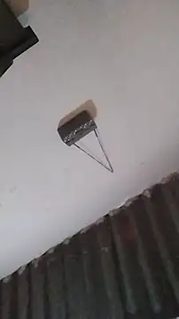 AlexaWarner online show from November 11, 5:13 pm