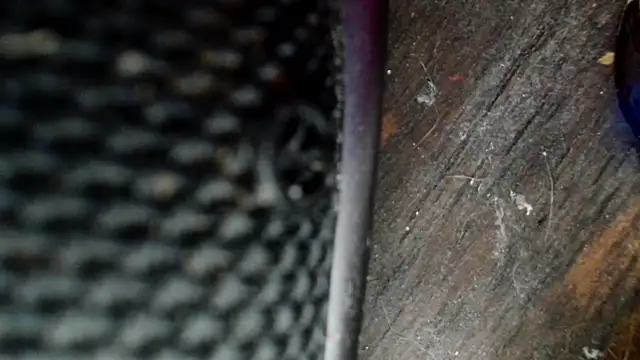 Snapshot of Gigadickman chatting on December 2, 8:33 pm Gigadickman online show from December 2, 8:33 pm