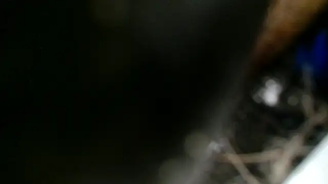 Snapshot of Gigadickman chatting on December 2, 11:40 pm Gigadickman online show from December 2, 11:40 pm