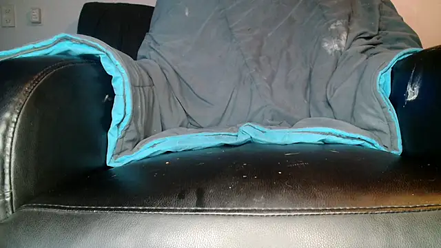 Snapshot of Gigadickman chatting on December 13, 2:54 am Gigadickman online show from December 13, 2:54 am