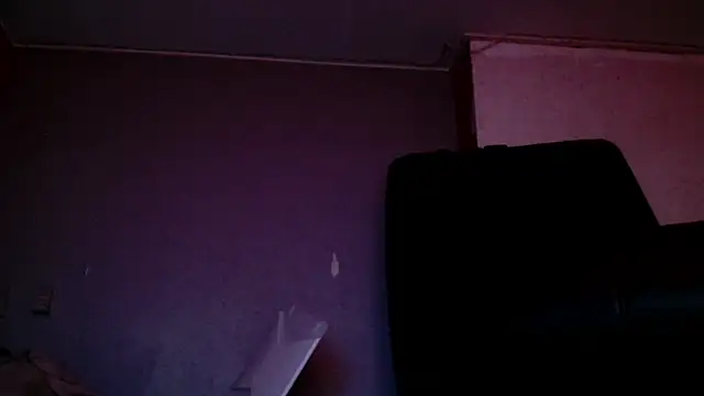 Snapshot of Gigadickman chatting on December 15, 9:42 pm Gigadickman online show from December 15, 9:42 pm