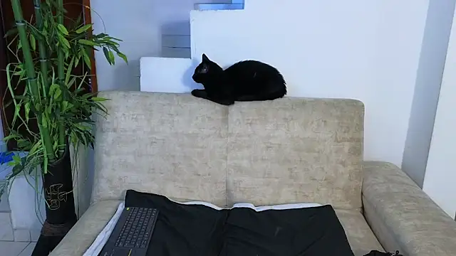 Lorenne Miller online show from April 22, 3:53 am