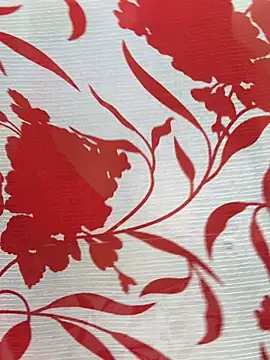 Sexy Evelynn online show from February 22, 4:24 am