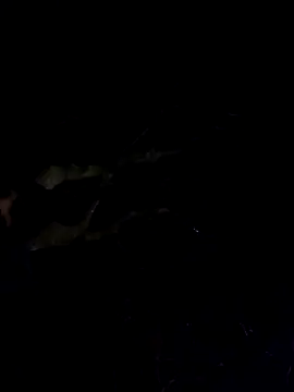 Snapshot of Wildherb244 chatting on December 4, 1:36 am Wildherb244 online show from December 4, 1:36 am