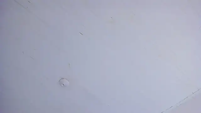 TiffanyWright online show from April 14, 1:17 pm