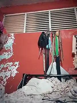 Snapshot of VL25DN26 chatting on February 15, 12:15 am VL25DN26 online show from February 15, 12:15 am