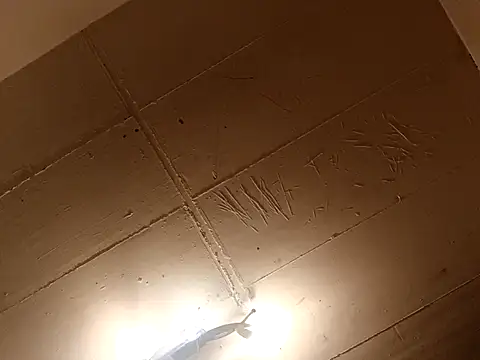 Timbojan28 online show from March 27, 11:48 pm